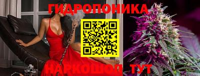 индика Абакан