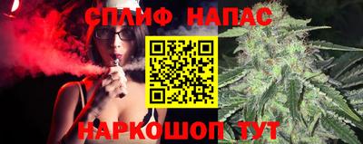 индика Абакан