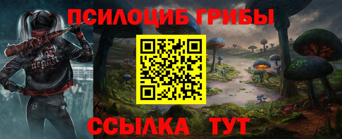 Псилоцибиновые грибы прущие грибы Аргун