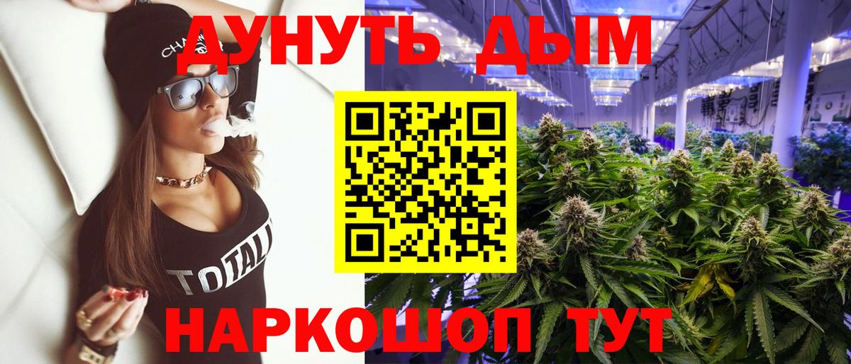 Каннабис Bruce Banner  Каннабис планчик  Аргун  Каннабис сатива  Вход с VPN 